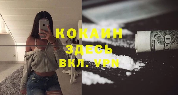 PSILOCYBIN Новодвинск