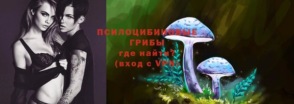 PSILOCYBIN Новодвинск
