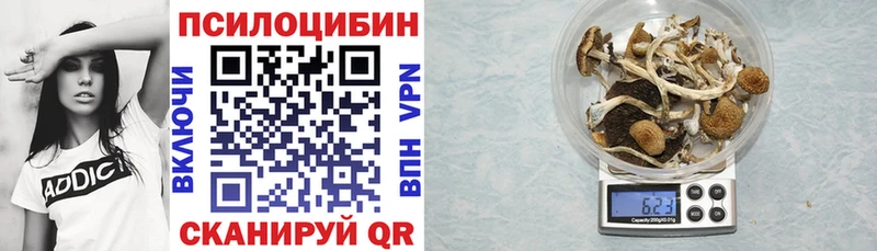 хочу наркоту  Алагир  Галлюциногенные грибы мухоморы 