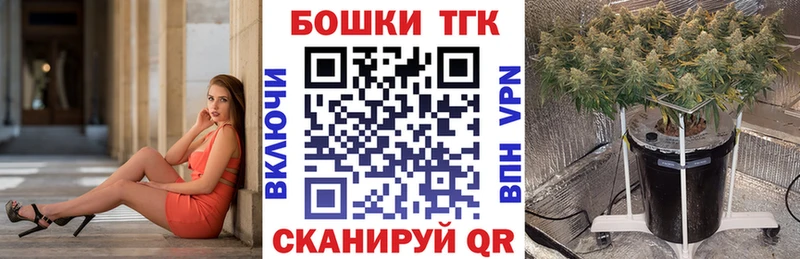 Марихуана план  где можно купить наркотик  Алагир 